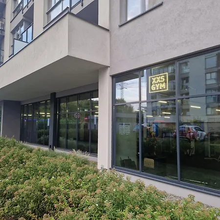 Falcon * Краков